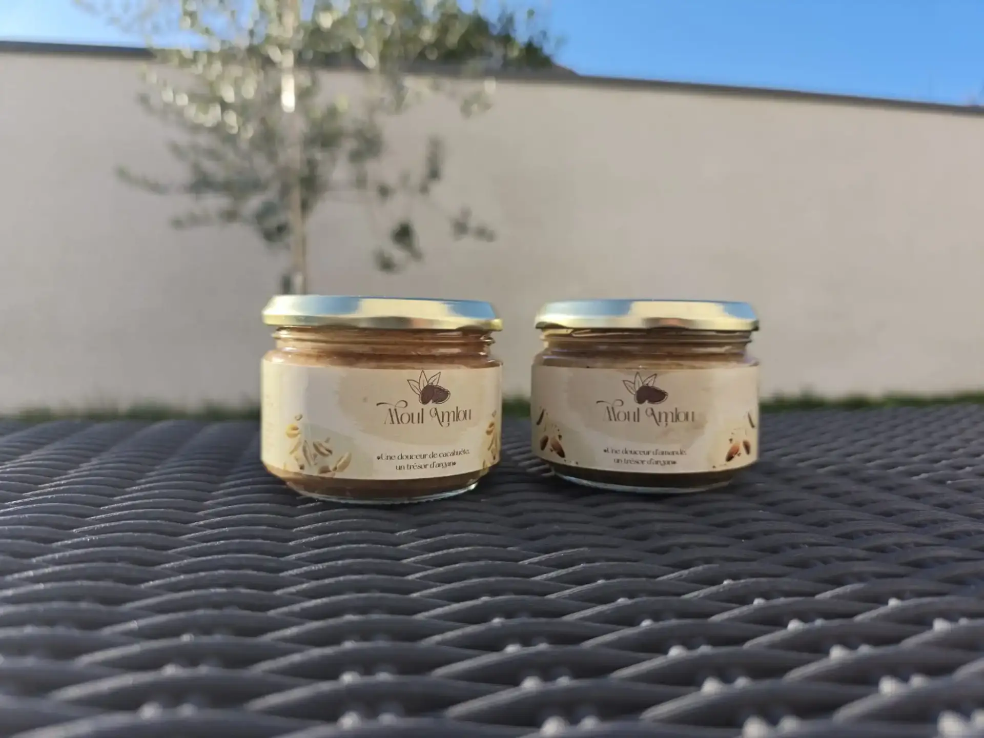 Pack Gourmand (amande et cacahuète) 2x350g